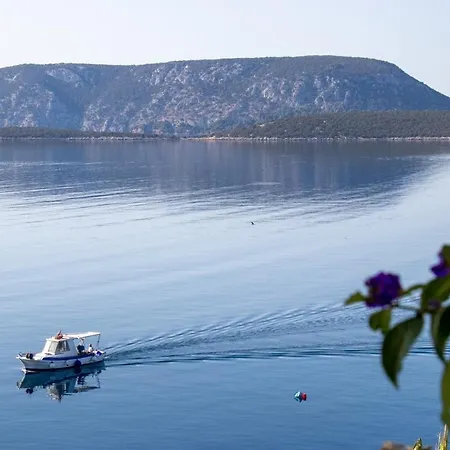 Grand Bleu & *